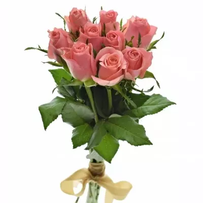 Kytica 9 ružových ruží ACE PINK 50cm
