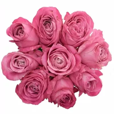 Kytice 9 růžových růží ALL 4 LOVE+ 40cm