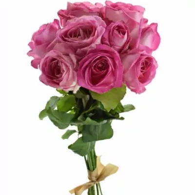 Kytice 9 růžových růží AVALANCHE CANDY+ 60cm
