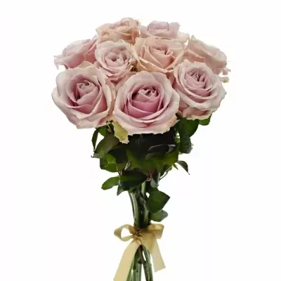 Kytice 9 růžových růží AVALANCHE PINK+ 60cm
