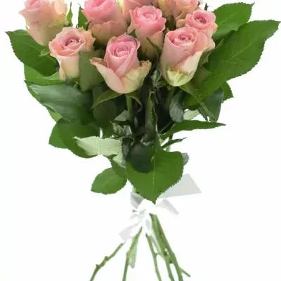 Kytice 9 růžových růží BISOU 50cm 