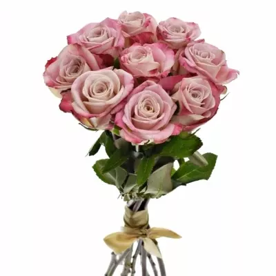 Kytice 9 růžových růží CLASSY ALISON
