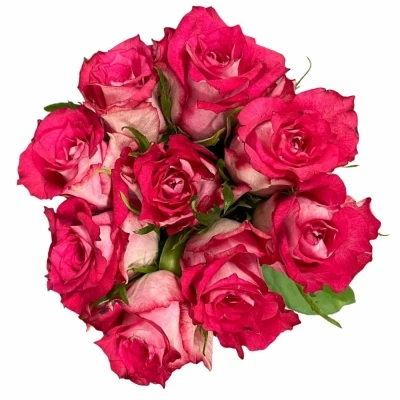 Kytice 9 růžových růží CROSSFIRE 50 cm