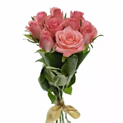 Kytice 9 růžových růží DEKORA 50cm