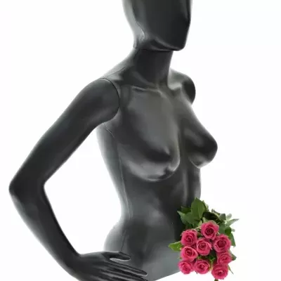 Kytice 9 růžových růží FRISBEE 40cm