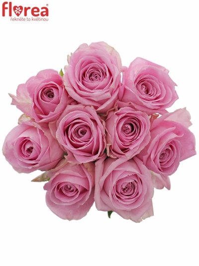 Kytice 9 růžových růží HEIDI! 40cm