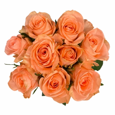 Kytice 9 růžových růží KISS 2U 60 cm