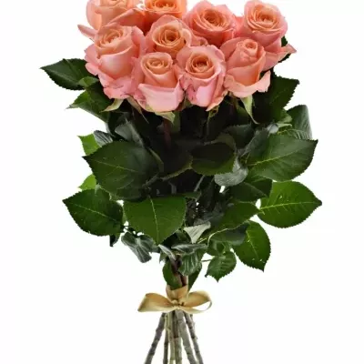 Kytice 9 růžových růží LADY MARGERAT 50 cm