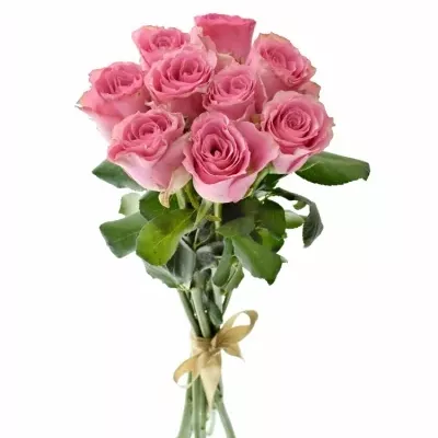 Kytica 9 ružových ruží LOVELY RHODOS