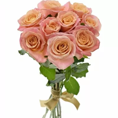 Kytice 9 růžových růží MISS PIGGY