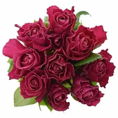 Kytice 9 růžových růží MOVIE STAR 40cm