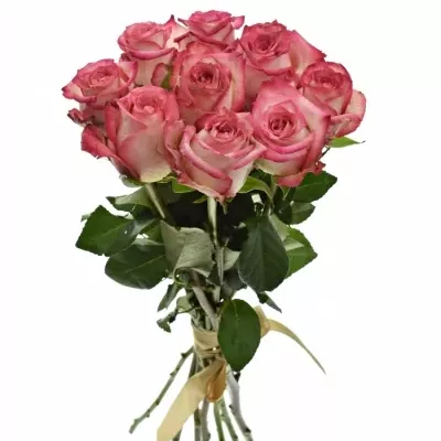Kytice 9 růžových růží NAVARRA 40cm
