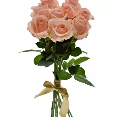 Kytice 9 růžových růží PINK PANASH 50cm