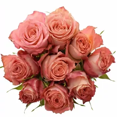 Kytice 9 růžových růží PINK SILK 40cm
