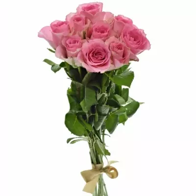 Kytice 9 růžových růží SMOOTHIE 60cm
