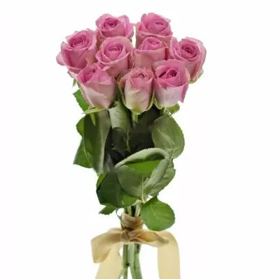 Kytice 9 růžových růží VIDEO 40cm