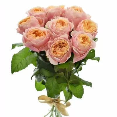 Kytice 9 růžových růží VUVUZELA 50cm
