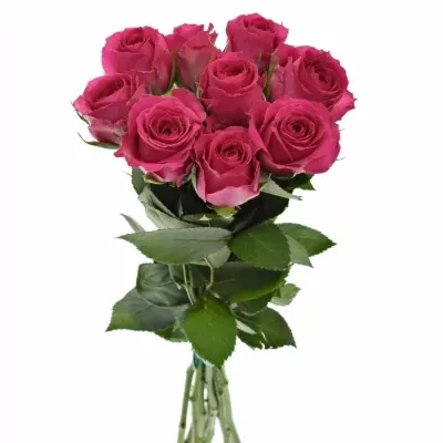 Kytice 9 růžových růží WINK 40 cm