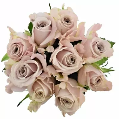 Kytice 9 starorůžových růží MENTA 60cm