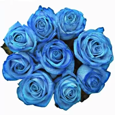 Jednodruhová kytice 9 modrých růží LIGHT BLUE VENDELA 70 cm