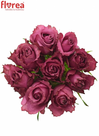 Kytice 9 vínových růží BLUEBERRY 70cm