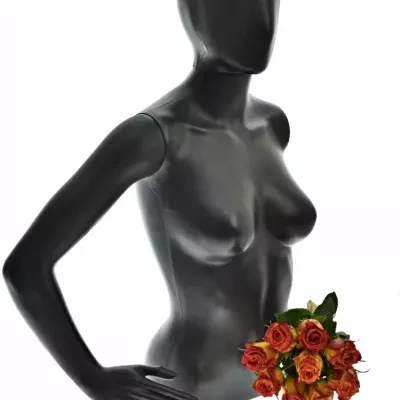 Kytice 9 žíhaných růží CATCH