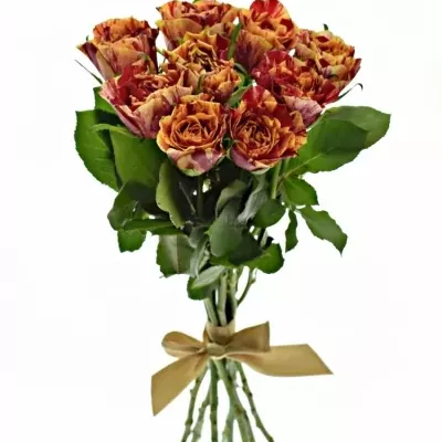 Kytice 9 žíhaných růží FIRE CRACKER 50cm