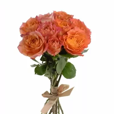 Kytice 9 žíhaných růží FREE SPIRIT