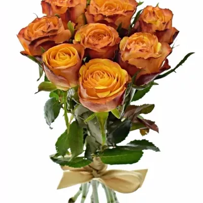 Kytice 9 žíhaných růží GRANADA 40cm
