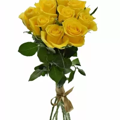 Kytice 9 žlutých růží JACKPOT