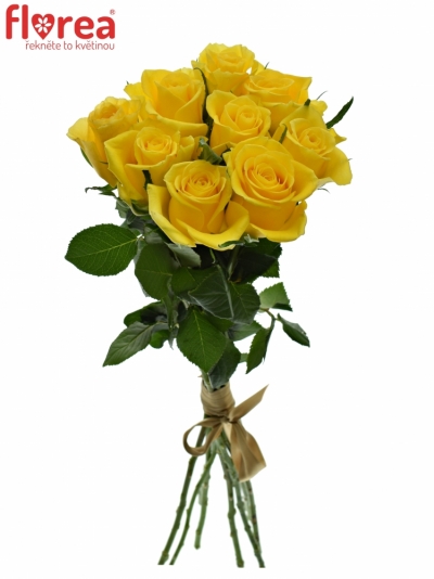 Kytice 9 žlutých růží MOONWALK 50 cm
