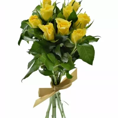 Kytice 9 žlutých růží SUNNY SHER 40cm