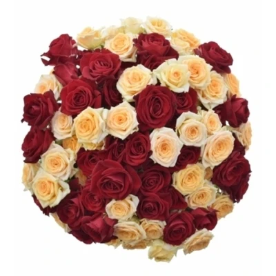 Kytice míchaná 100+ květů růží DOROTHEA 50 cm