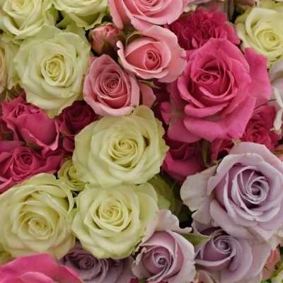 Kytice míchaná 100+ květů růží LAYLA 40cm