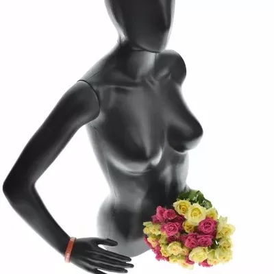 Kytice míchaných růží MATTHIA 40cm