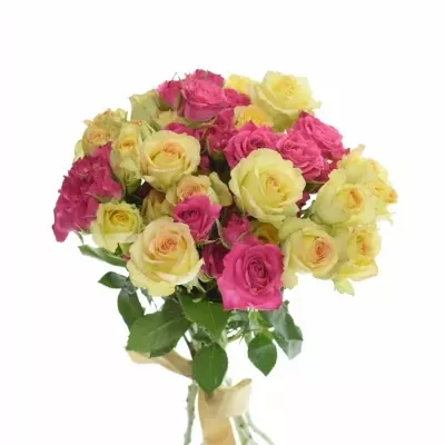 Kytice míchaných růží MATTHIA 40cm