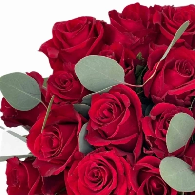 Kytice na Den matek - 21 EVER RED 60 cm   EUCALYPTUS