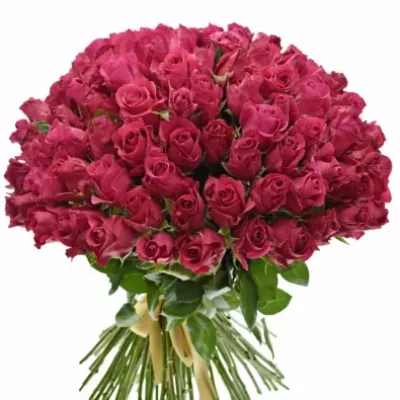 Kytice100 růžových růží ISADORA 40cm