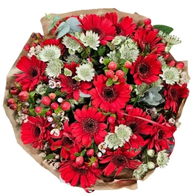 Kytice17 ks gerber RED ADRIANA