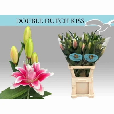 Lilie OR DU DOUBLE DUTCH KISS
