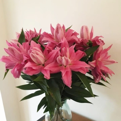 Lilie OR DU ROSELILY KADANGO