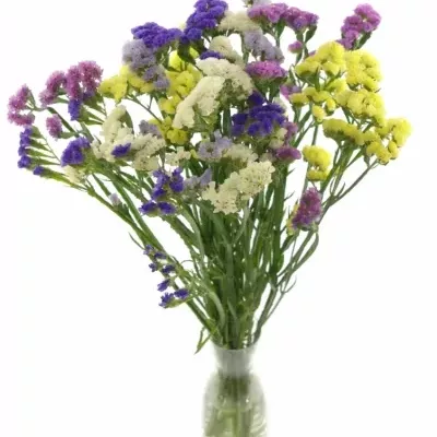 LIMONIUM S MIX 