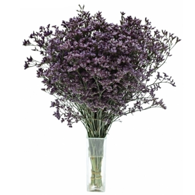 LIMONIUM SAFORA LILAC