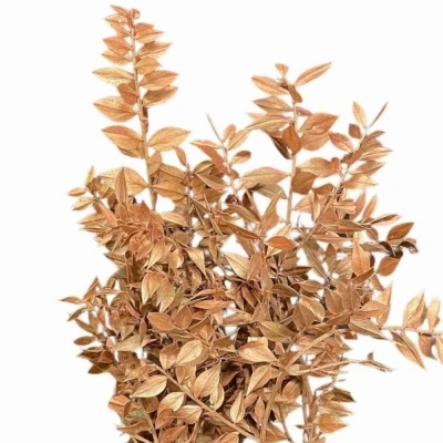 Listnatec MINI ITALY COPPER 70cm