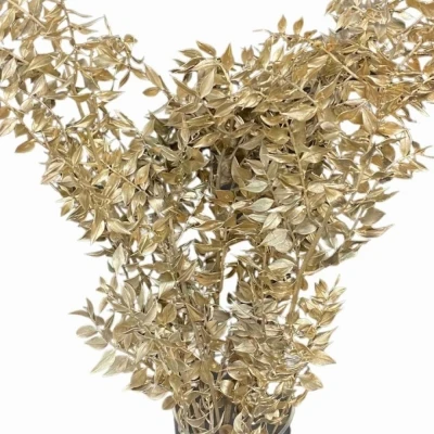 Listnatec MINI ITALY PLATINUM 70cm