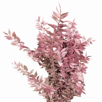 Listnatec MINI ITALY ROSE GOLD 70cm