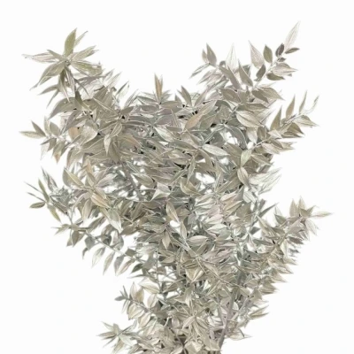 Listnatec MINI ITALY SILVER 70cm