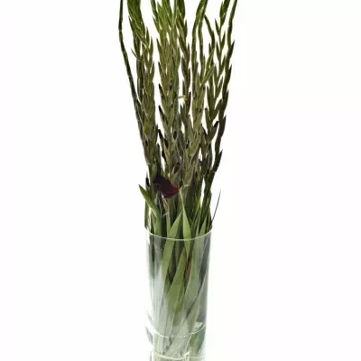 mečík FAT BOY 120cm/60cm