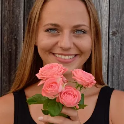 Meruňková růže BARBADOS