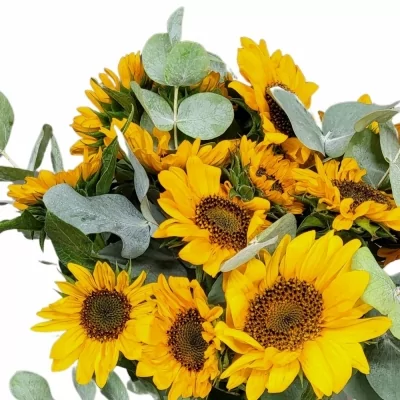 Míchaná kytice 15 žlutých slunečnic